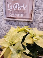 Merry Christmas！おかげさまで14周年